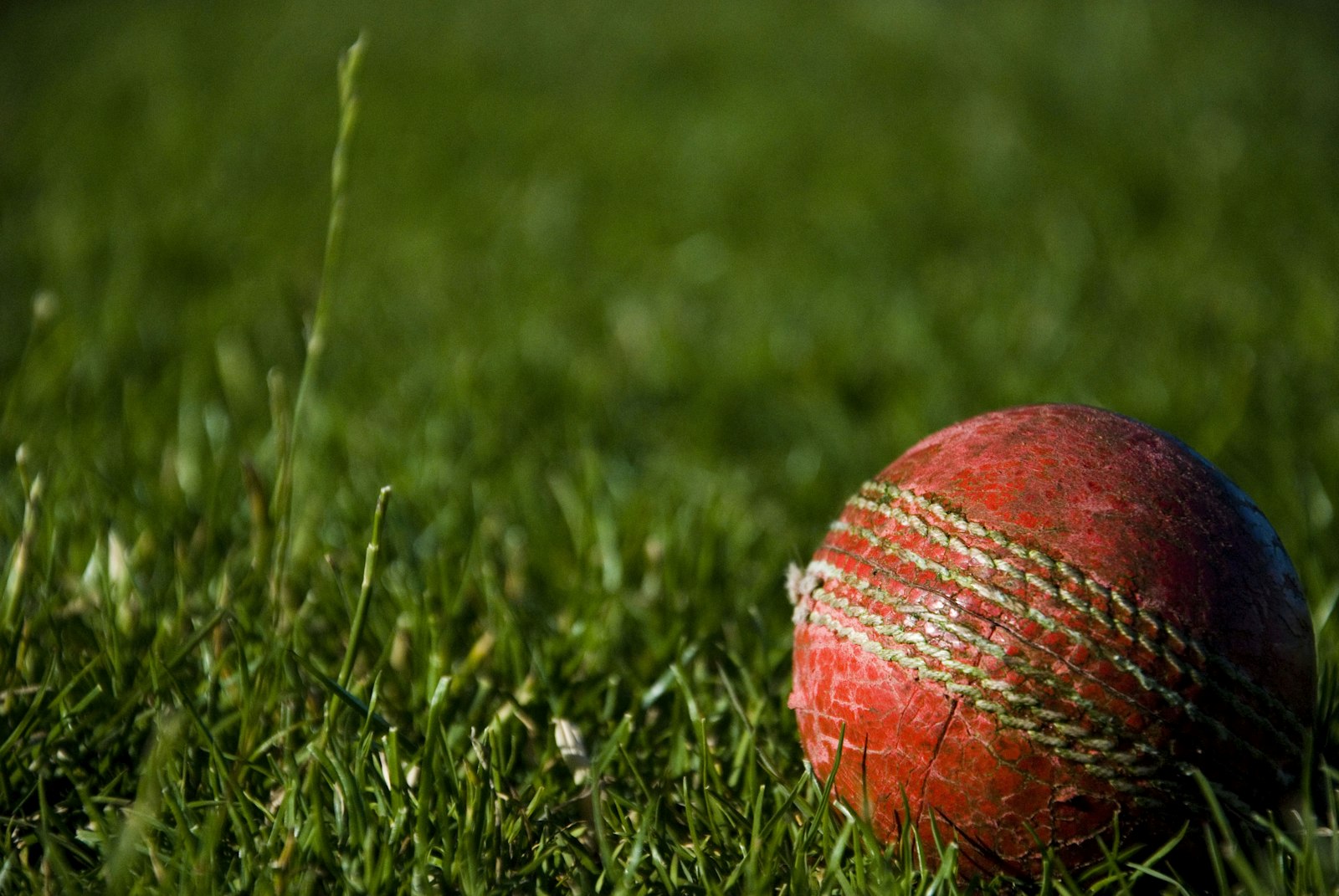 体育场馆运营